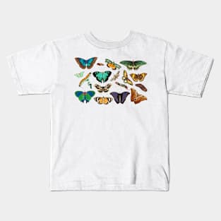 Exotic butterflies Kids T-Shirt